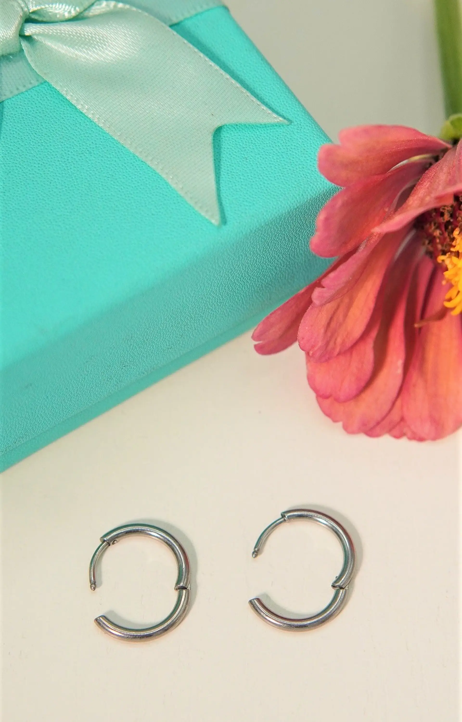 Argollas lisas Aura 12mm Titanio Astm F136 plateadas 6
