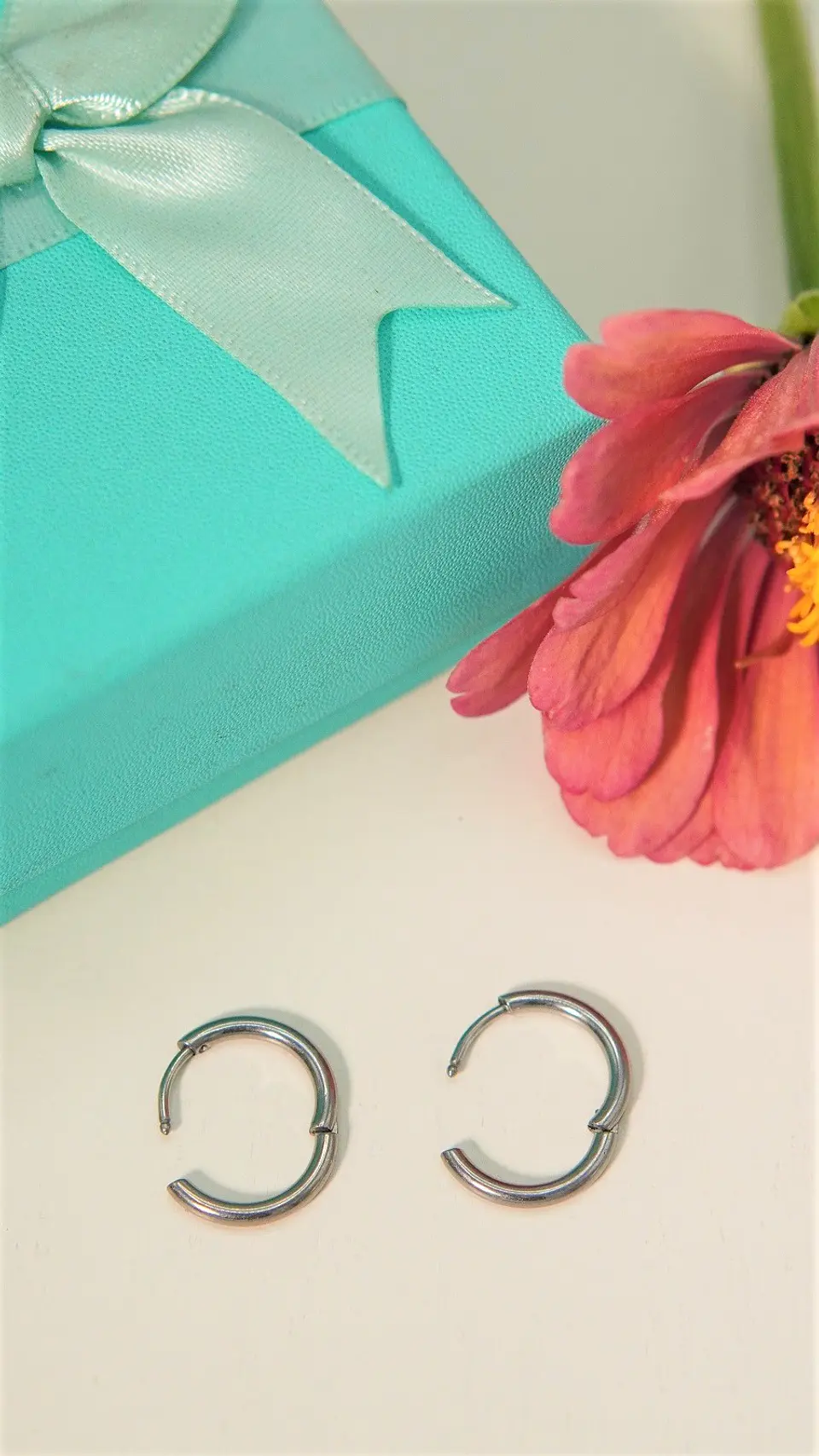 Argollas lisas Aura 12mm Titanio Astm F136 plateadas 6