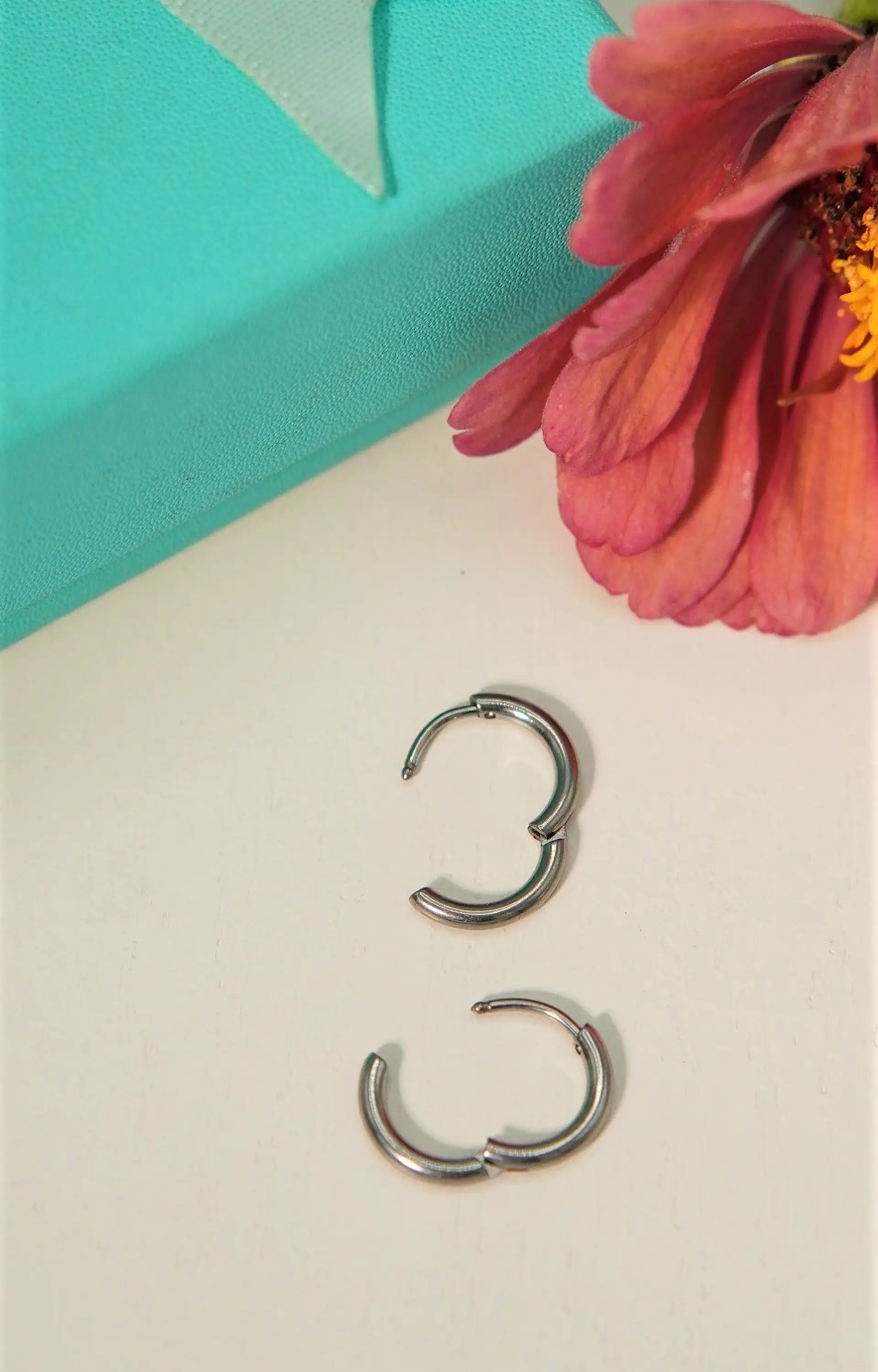 Argollas Lisas aura 10mm Titanio Astm F136 plateadas 5