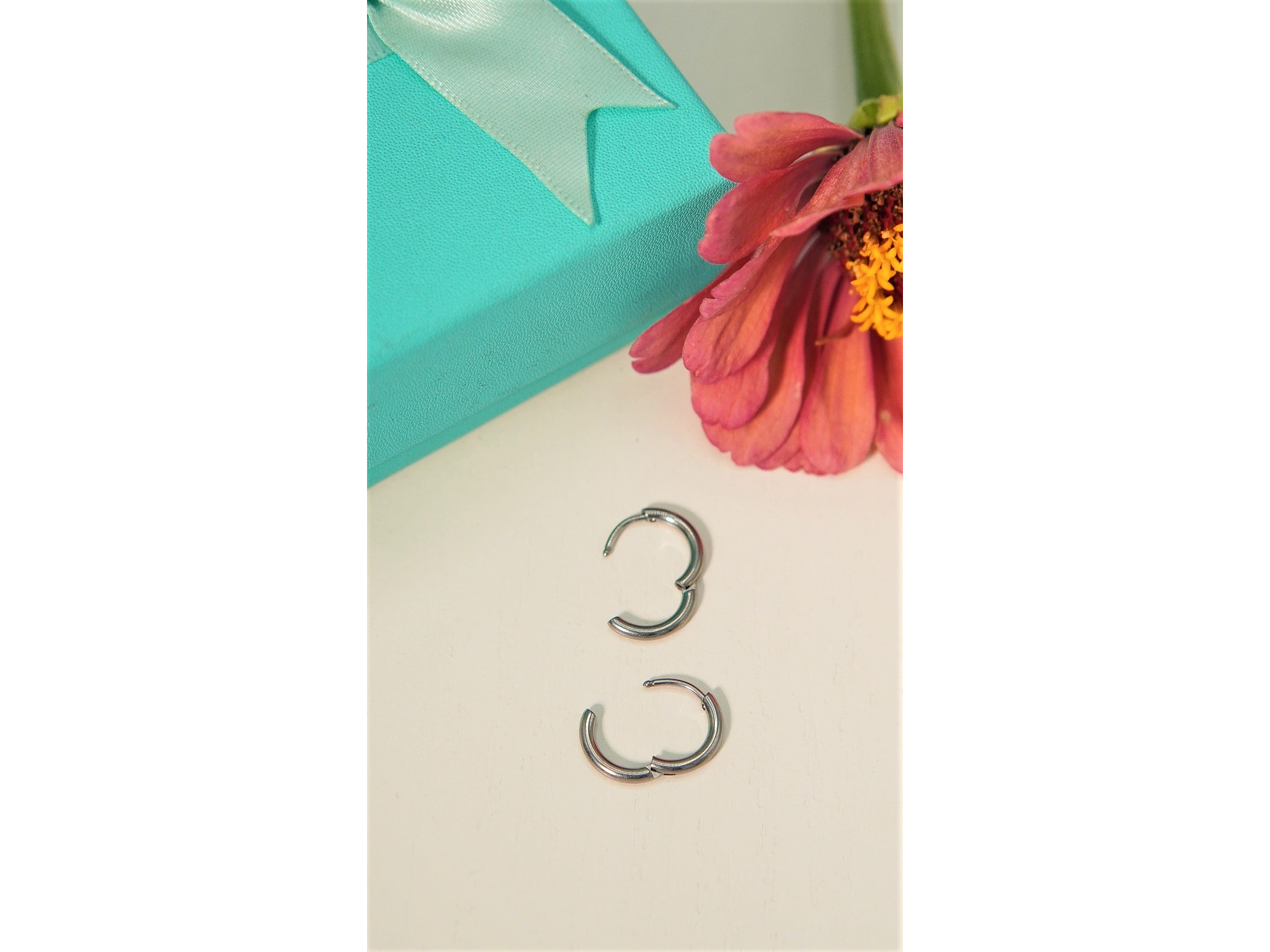 Argollas Lisas aura 10mm Titanio Astm F136 plateadas 7