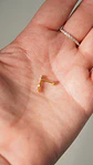 Piercing Ivis labret colgante zirconia 16G Titanio F136 dorado - Miniatura 7