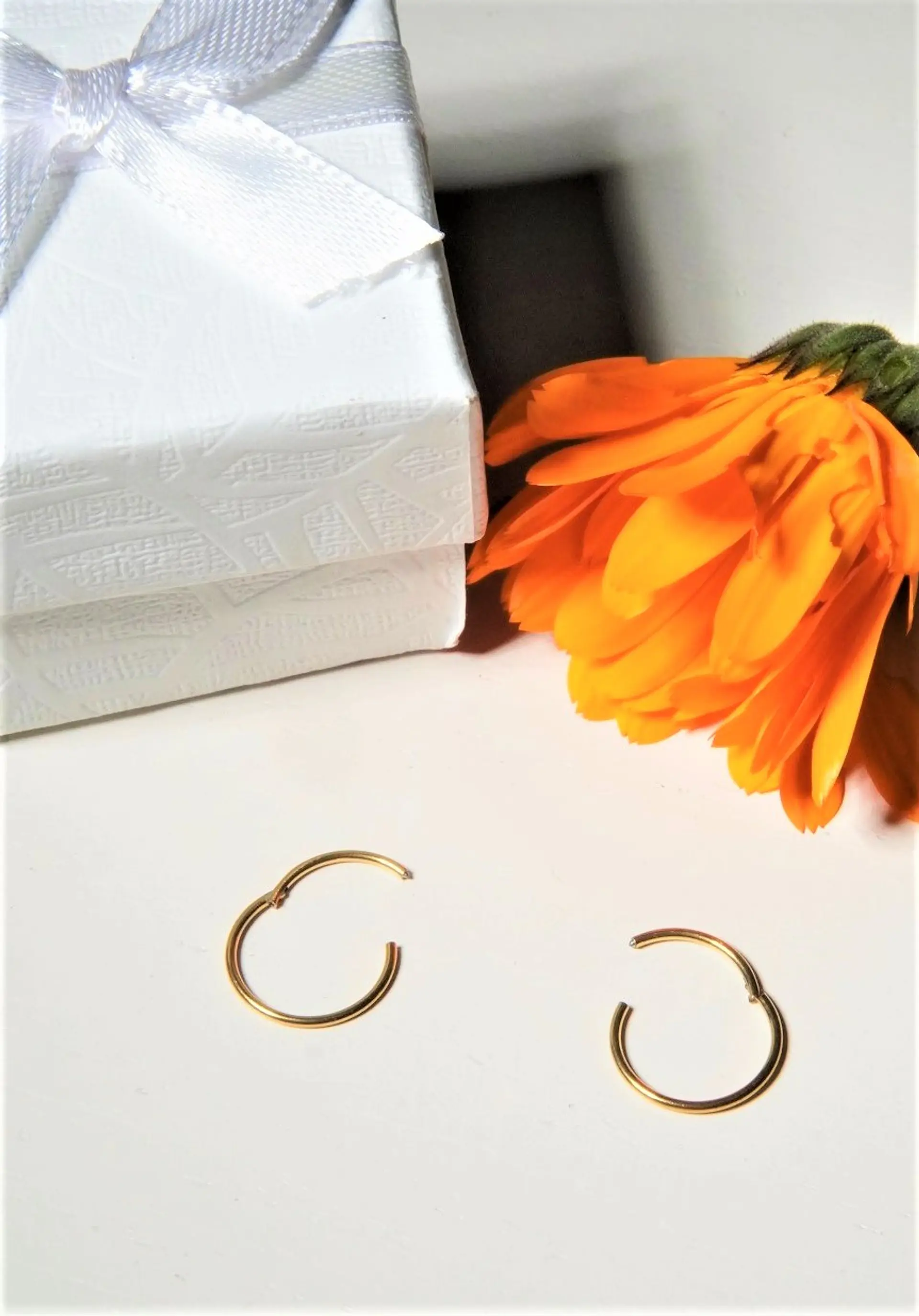 Argollas Clicker 10mm 18g Acero Quirurgico Chapadas En Oro 18k 9