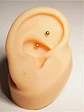 Piercing Rook Sienna Titanio 16G Barra Curva 8 mm - Miniatura 8