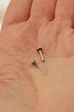 Piercing Labret Perno Tornillo 6mm 18G Punto Luz Titanio Astm F136 - Miniatura 9