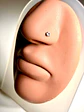Piercing nostril 20G tipo L 3mm titanio ASTM F136 cesta - Miniatura 2
