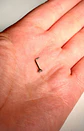 Piercing nostril 20G tipo L 3mm titanio ASTM F136 cesta - Miniatura 5