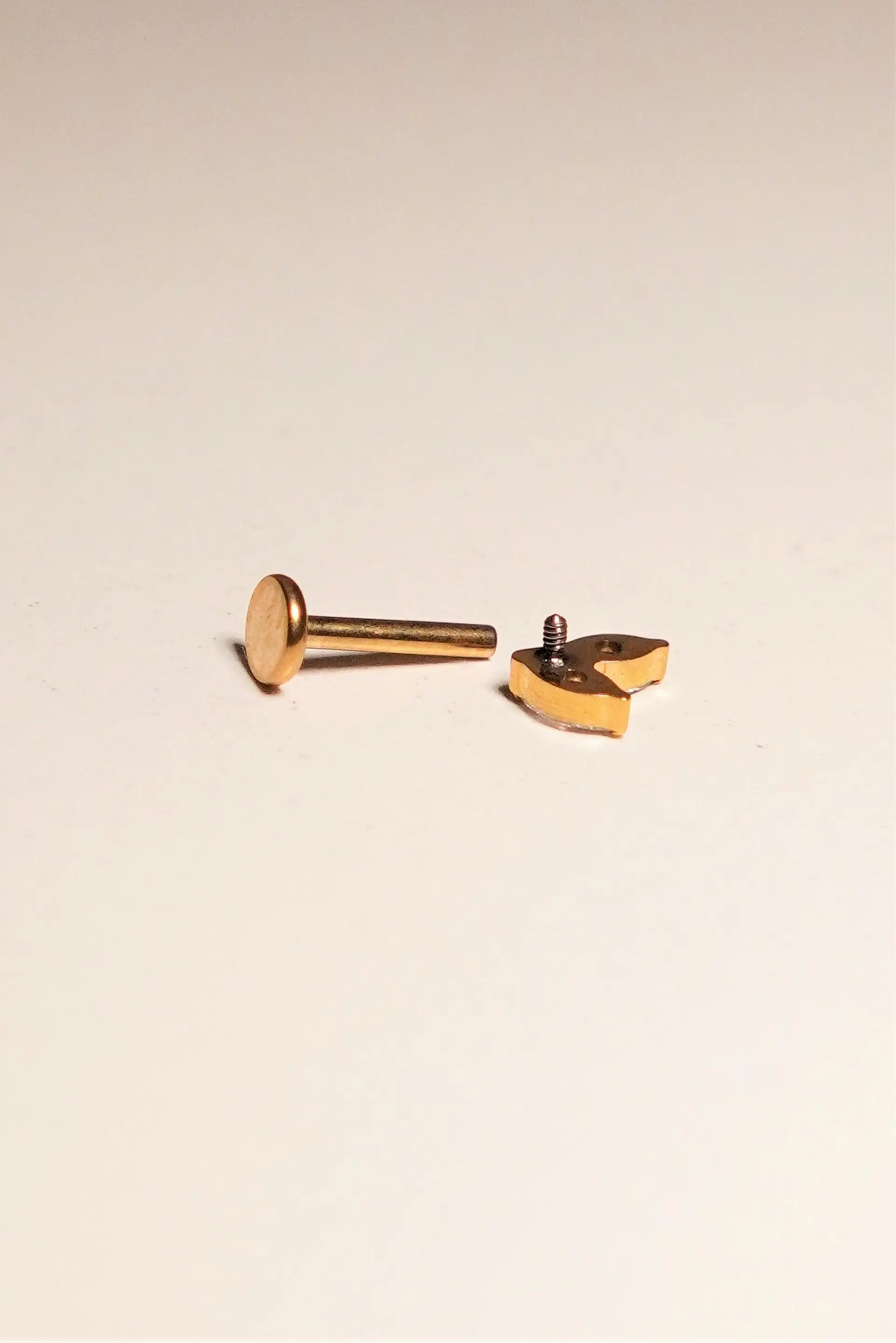 Piercing Alba Labret 16g barra 8mm Titanio PVD En Oro 18k 4
