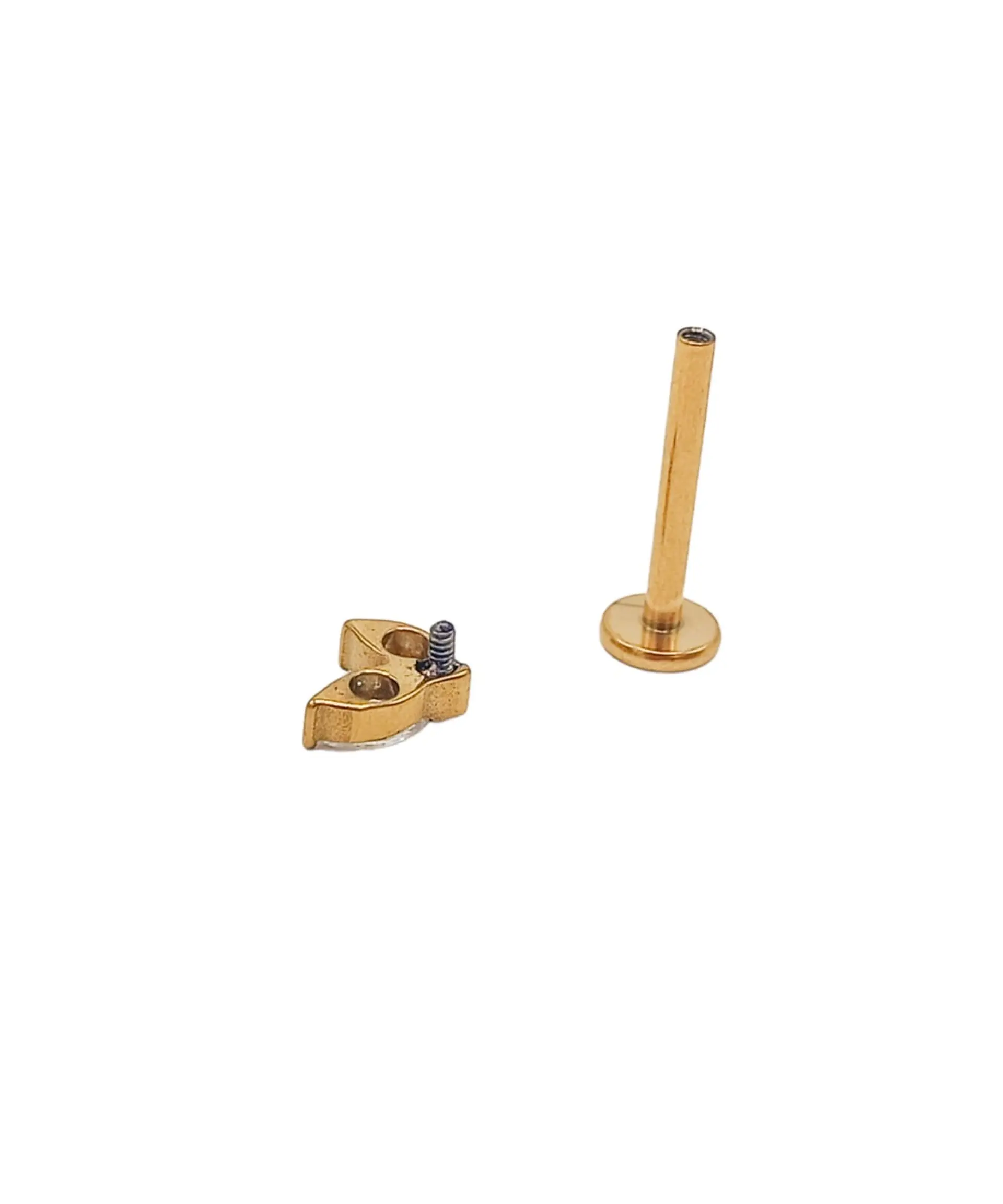 Piercing Labret Alba 16g barra 10mm Titanio PVD con Oro 18k 6