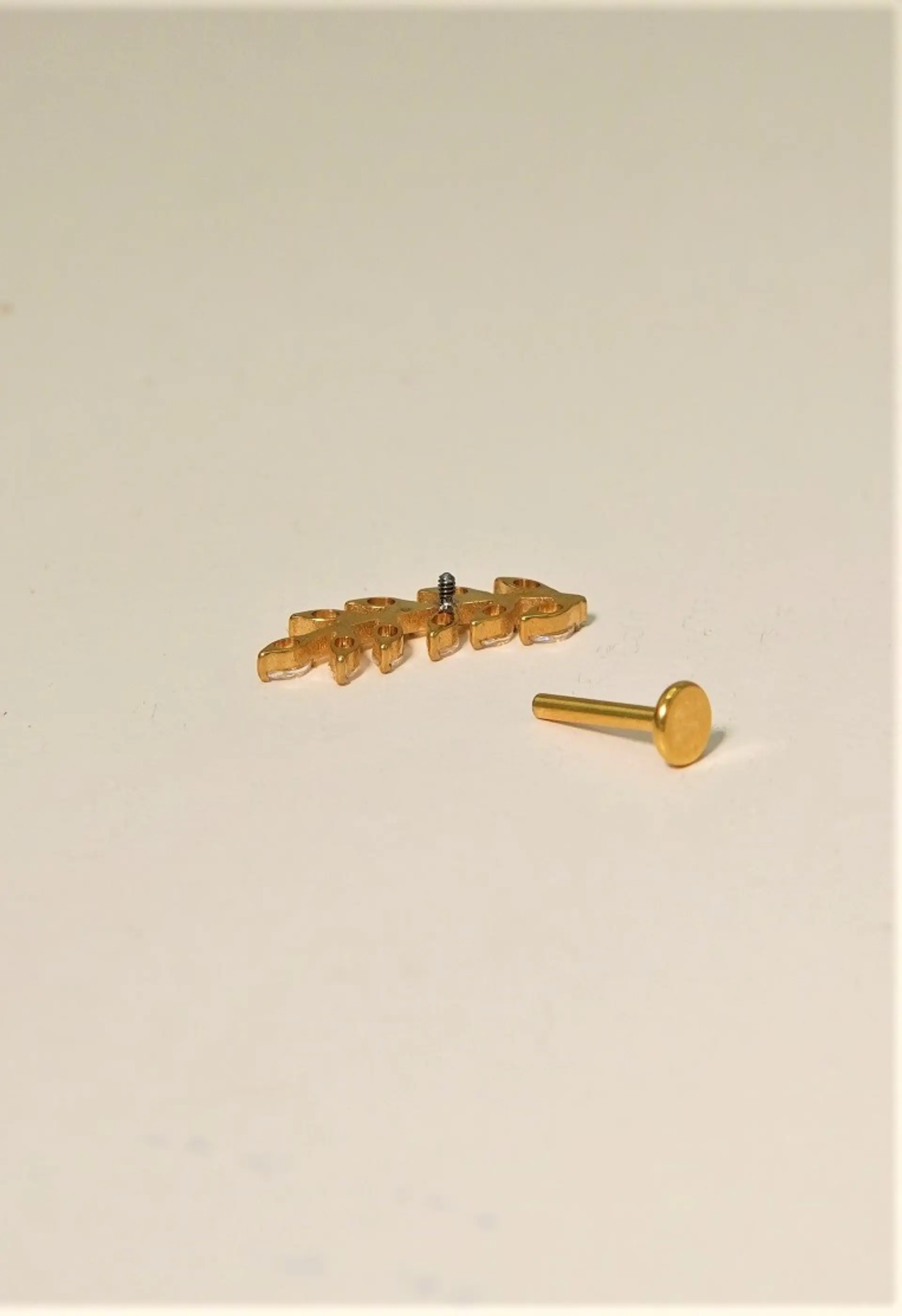 Piercing Helena labret 8mm 16G zirconias Titanio PVD 4