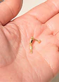 Piercing labret Amy 6mm 16G plata 925 bañado oro 18k - Miniatura 12