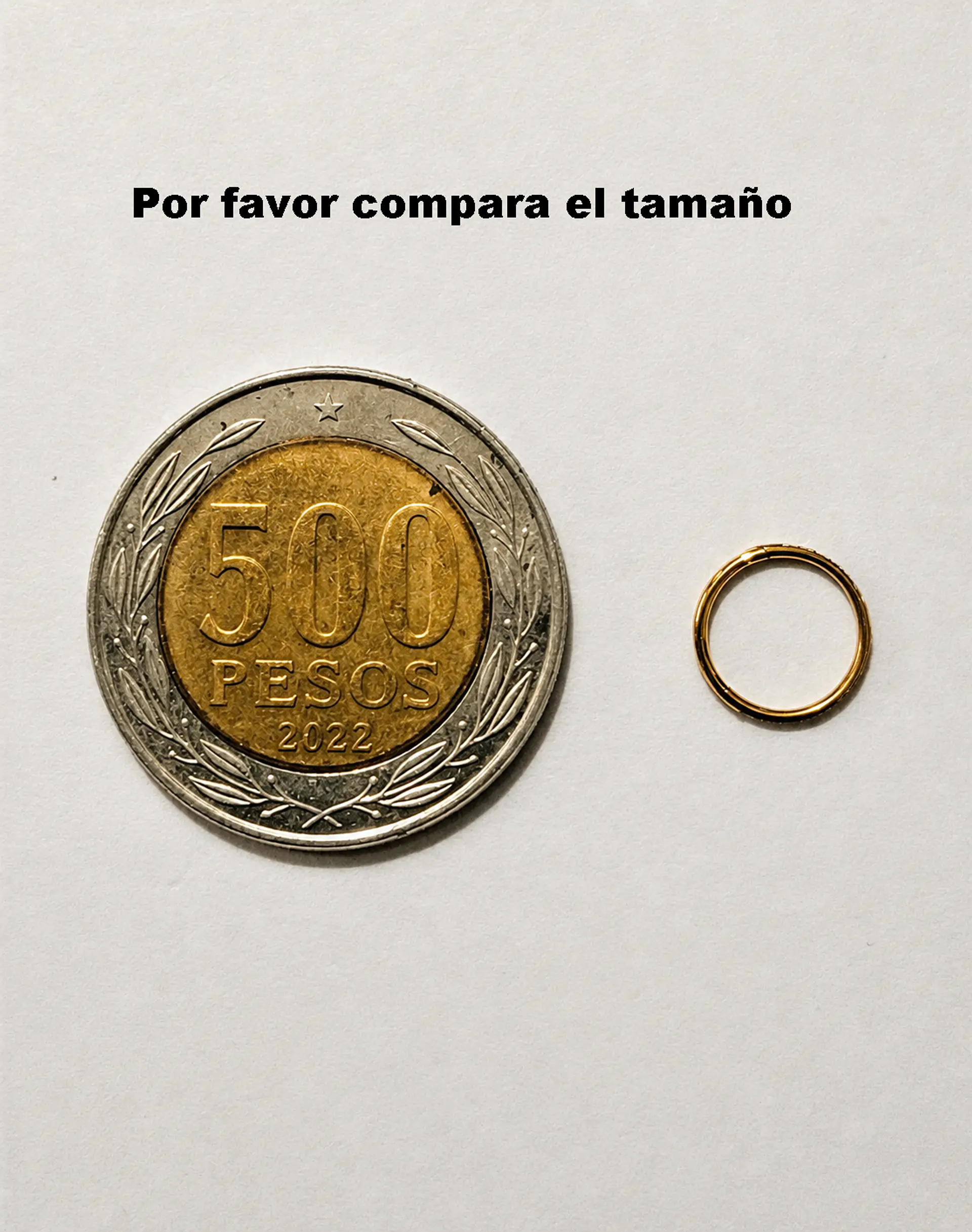 Argollas Emma 20G 8mm zirconias titanio PVD oro 18k 5