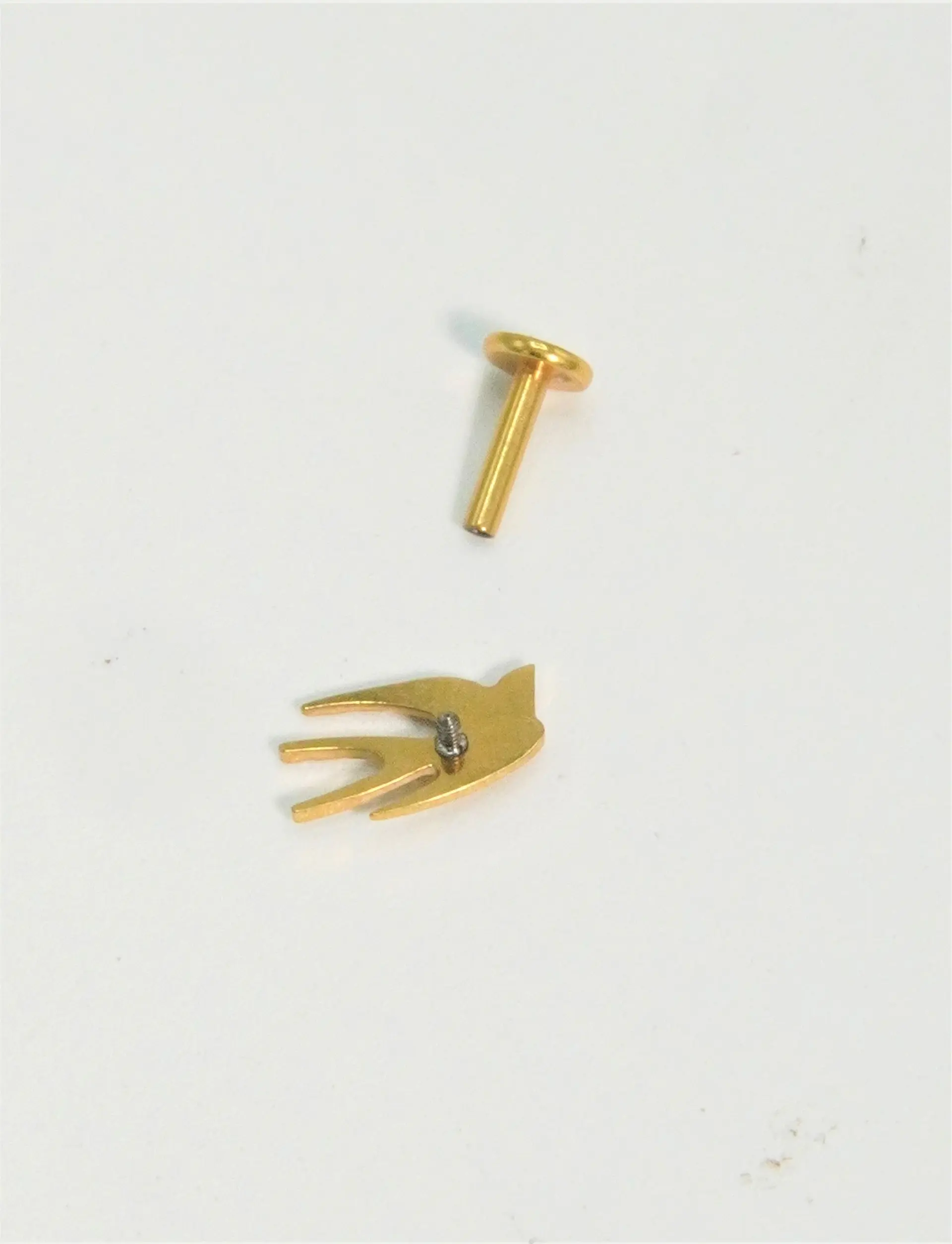 Piercing labret Golondrina 6mm 16G titanio Pvd 18K 2