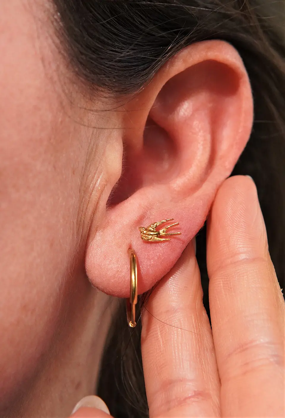 Piercing labret Golondrina 6mm 16G titanio Pvd 18K 3