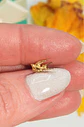 Piercing labret Golondrina 6mm 16G titanio Pvd 18K - Miniatura 4