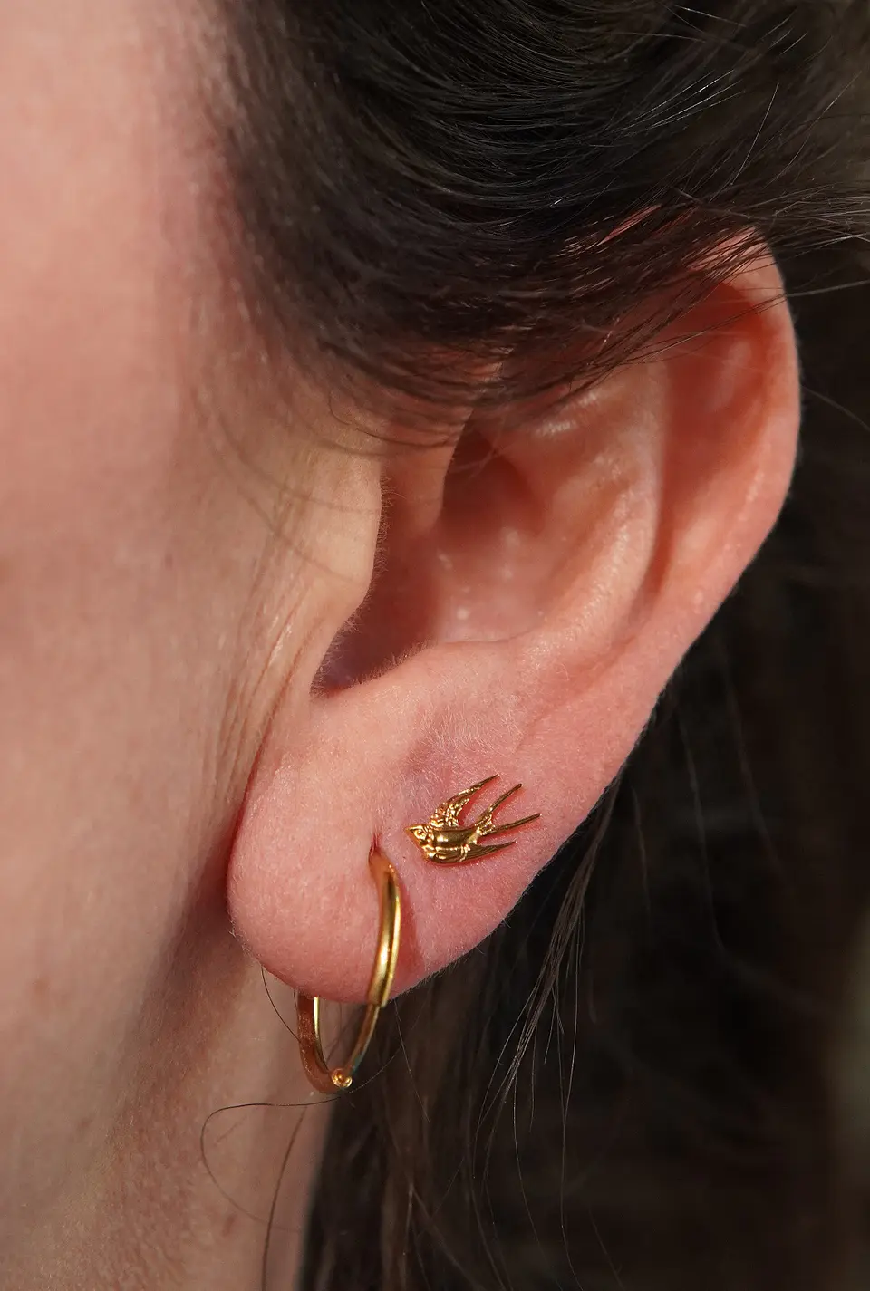 Piercing labret Golondrina 6mm 16G titanio Pvd 18K 9