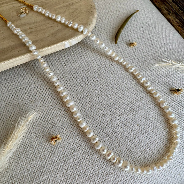 Gargantilla Prosciutto 1