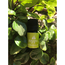 Ampe - Aceite Esencial Lemongrass 5 ml