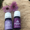 Ampe - Aceite Esencial Melissa 5 ml