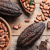 Nibs de Cacao cubiertos con Chocolate Orgánico 57g