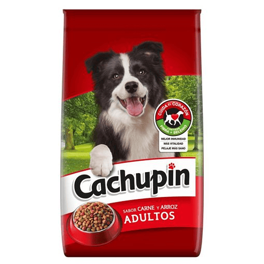 Cachupin 9 kilos