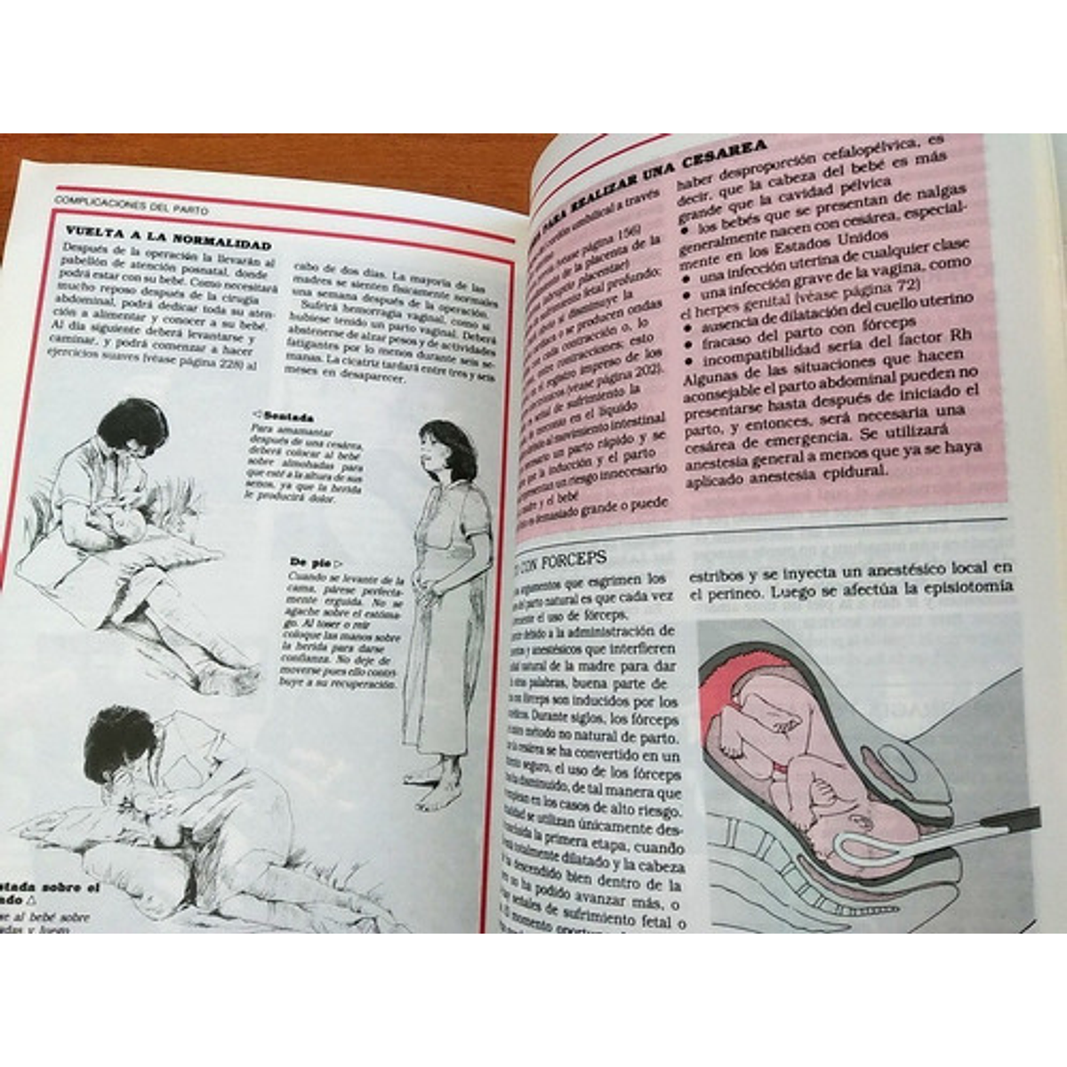 **EL NUEVO GRAN LIBRO DEL EMBARAZO Y EL PARTO: NEW PREGNANCY & CHIL (FUERA  DE CATALOGO) (Spanish Edition)