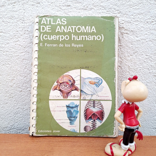 Atlas del Cuerpo Humano para Niños