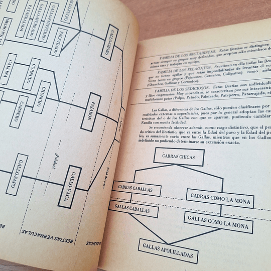 Bestiario del Reyno de Chile