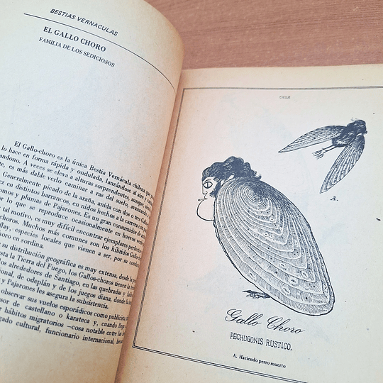 Bestiario del Reyno de Chile
