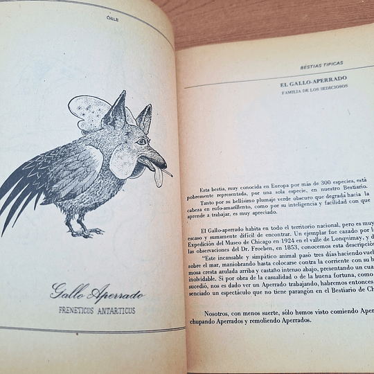 Bestiario del Reyno de Chile