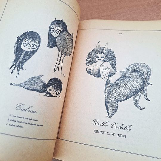 Bestiario del Reyno de Chile