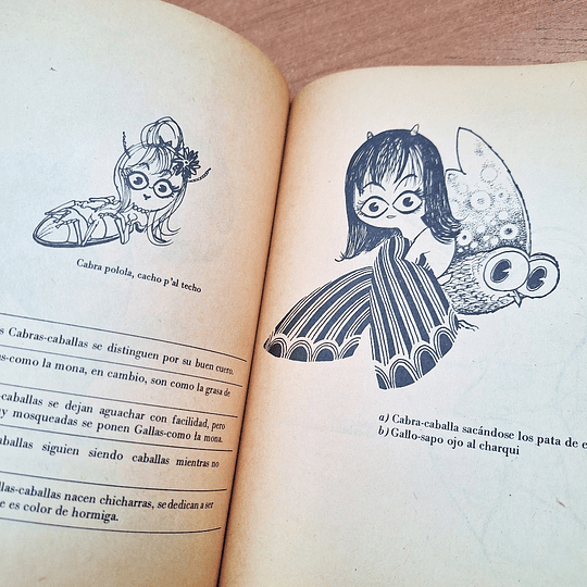 Bestiario del Reyno de Chile