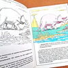 Pack Dinoraurios