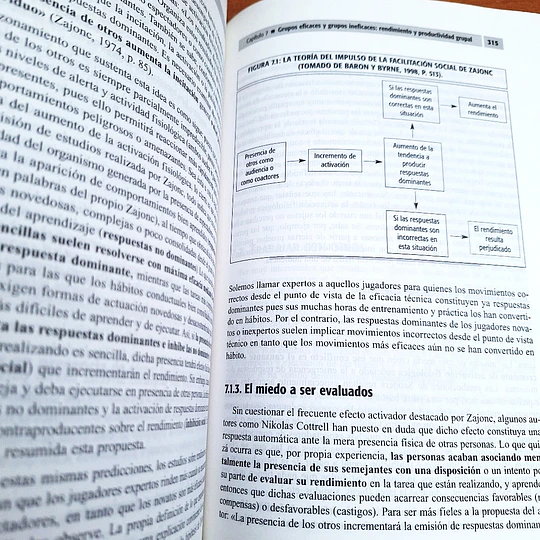 Psicología de los Grupos