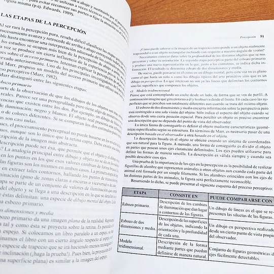 Procesos psicológicos básicos