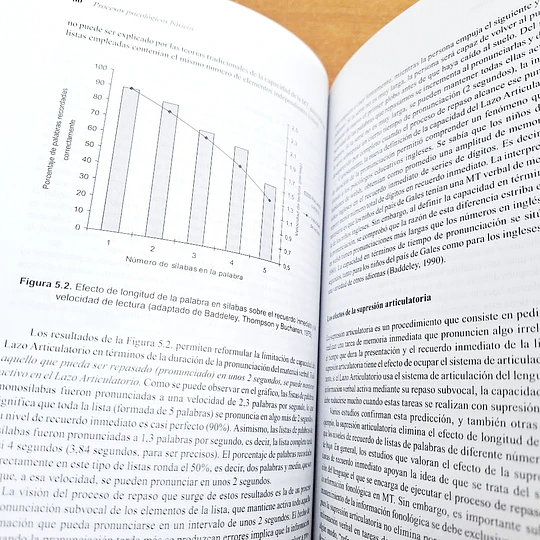 Procesos psicológicos básicos