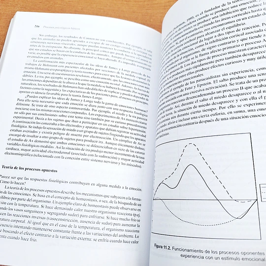 Procesos psicológicos básicos