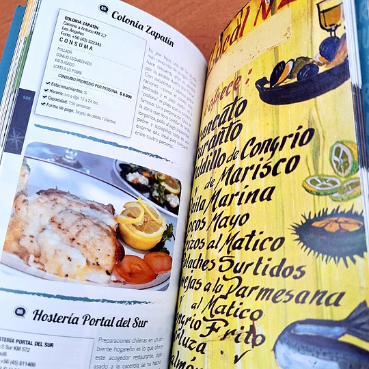 Picadas de Carretera, La Guía