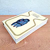Pasaporte a Magonia