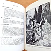 Pasaporte a Magonia