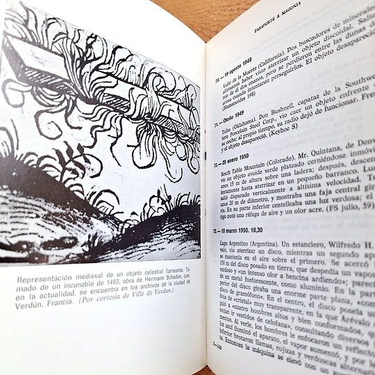 Pasaporte a Magonia