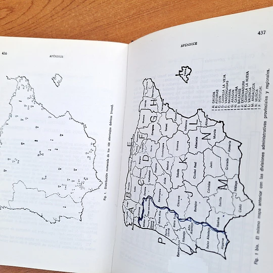 Pasaporte a Magonia