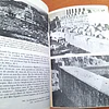 El mensaje de los dioses