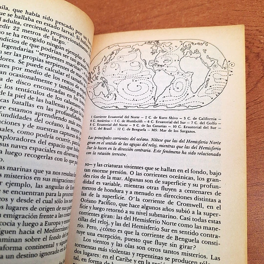 El Triángulo de las Bermudas