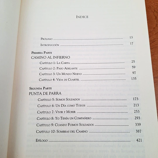 Soldados de una guerra que no fue. Chile - Argentina