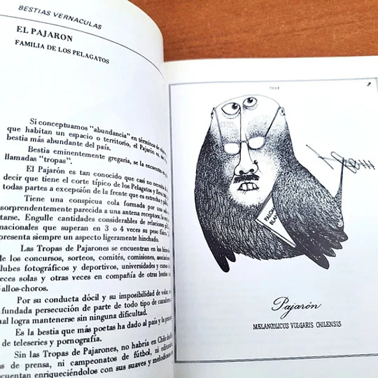 Bestiario del Reyno de Chile