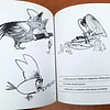 Bestiario del Reyno de Chile