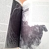 A Tolkien Bestiary