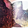 A Tolkien Bestiary