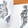 Guide to Tolkien' World. A Bestiary