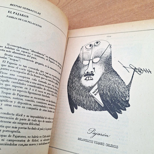 Bestiario del Reyno de Chile